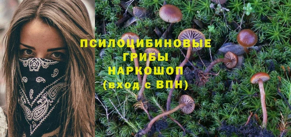 спайс Балахна