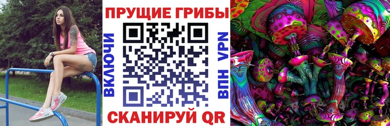 ссылка на мегу ТОР  Теберда  Псилоцибиновые грибы Psilocybe 
